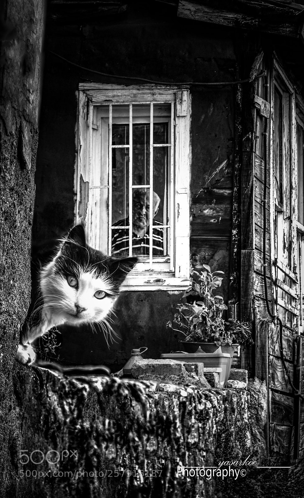 Nikon D7200 sample photo. Istanbul's eyes photography