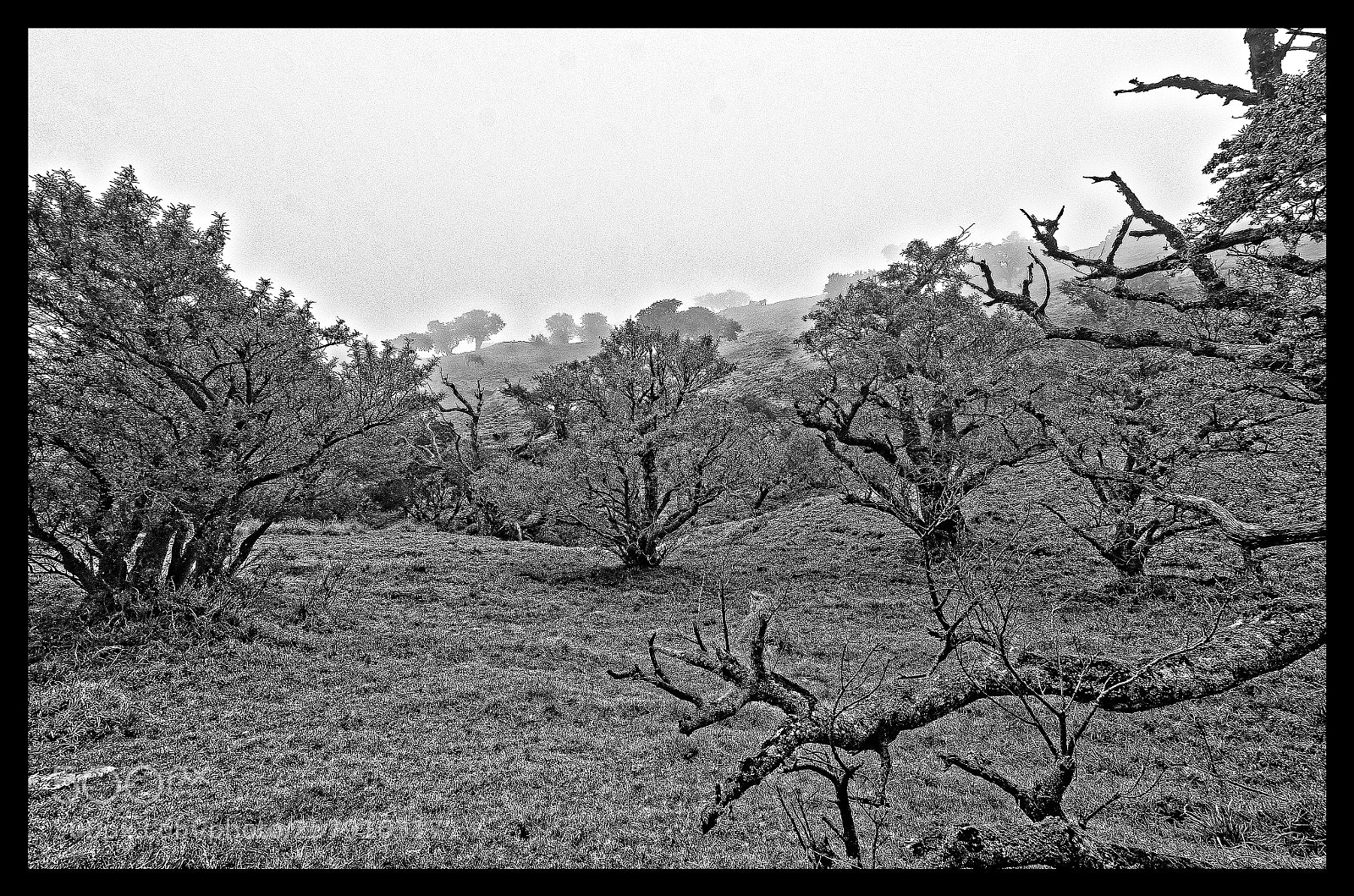 Nikon D7000 sample photo. Sur la route du photography