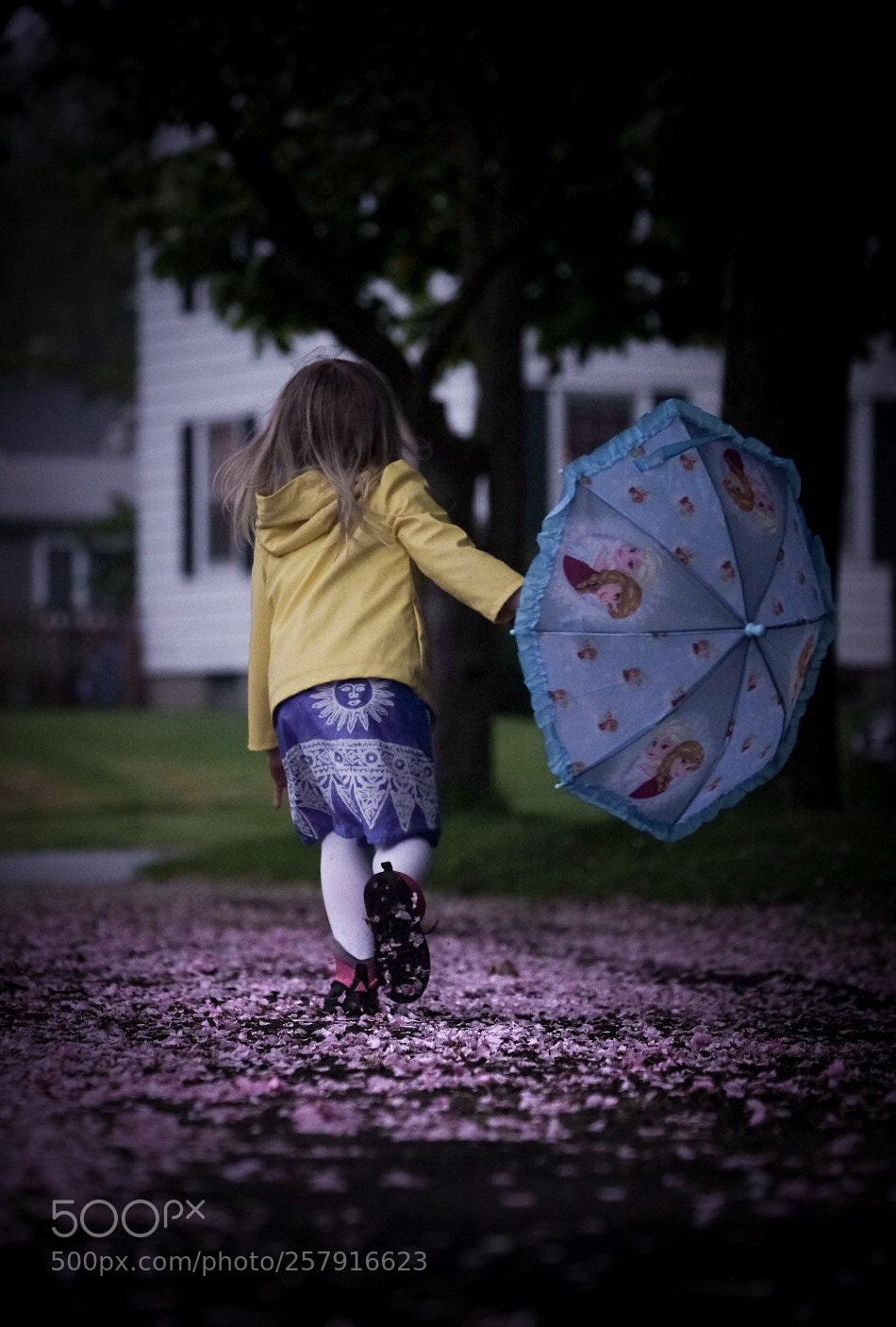 Fujifilm X-H1 sample photo. Rainy days photography