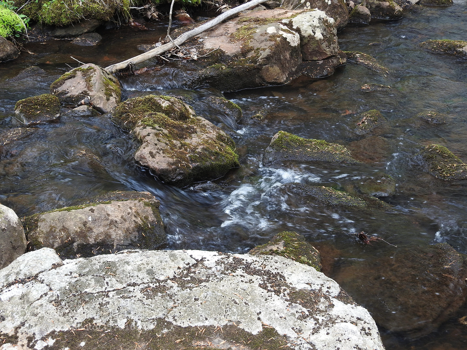 Nikon Coolpix P900 sample photo. Ringwood state park photography