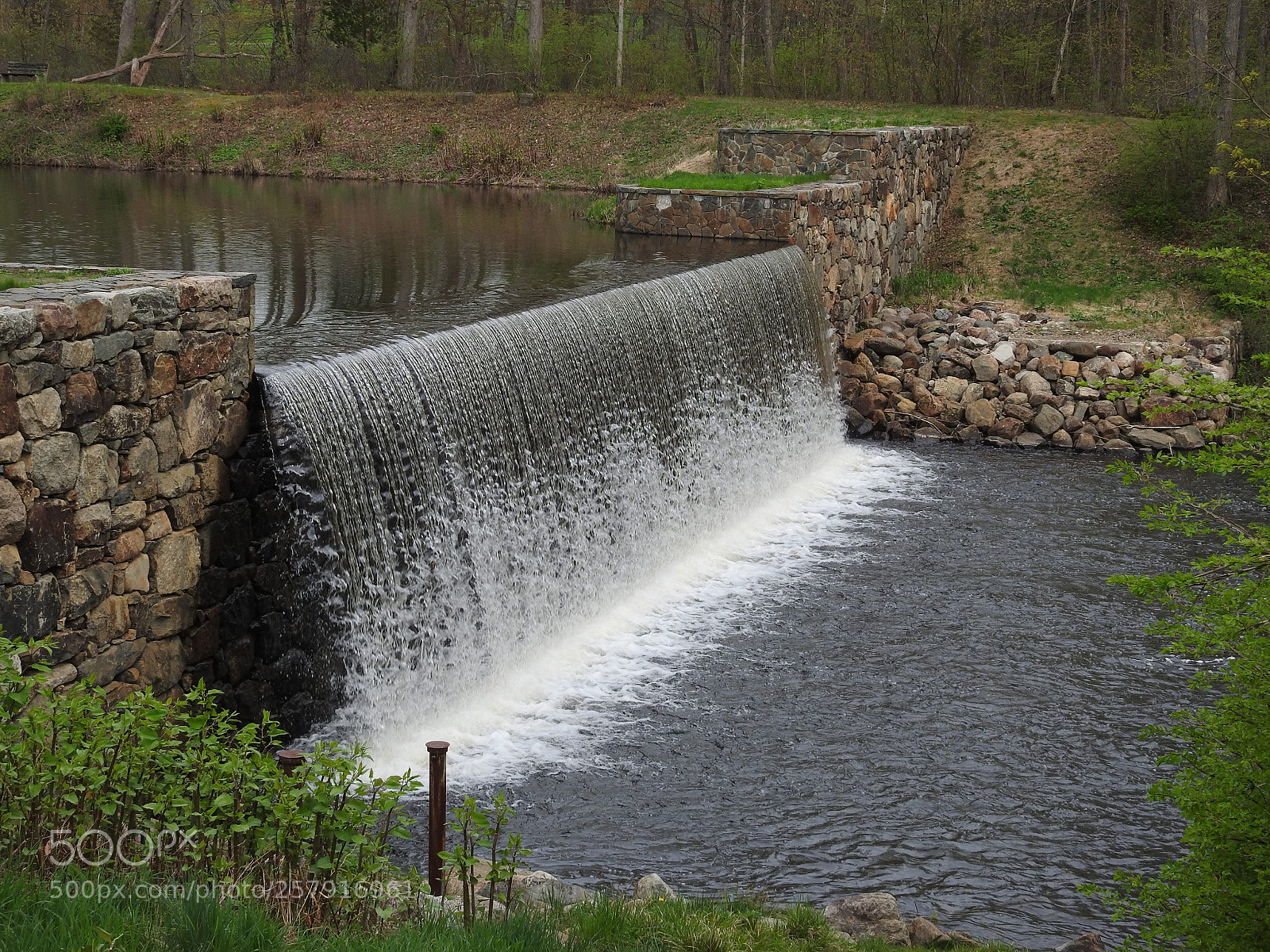 Nikon Coolpix P900 sample photo. Ringwood state park photography