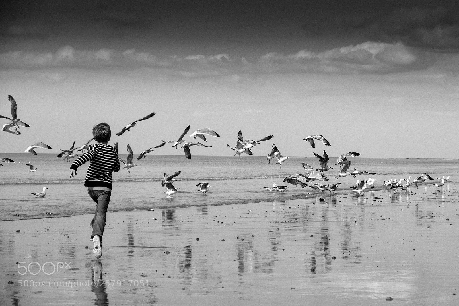 Fujifilm X-T2 sample photo. Chasing birds on the photography