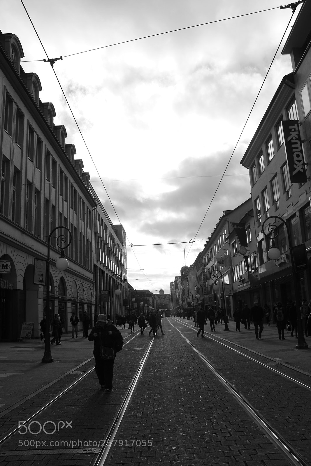 Canon EOS 1300D (EOS Rebel T6 / EOS Kiss X80) sample photo. Into grey photography