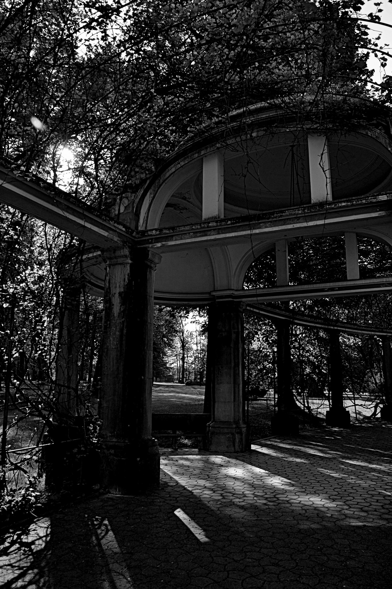 Nikon D3100 sample photo. Garden photography