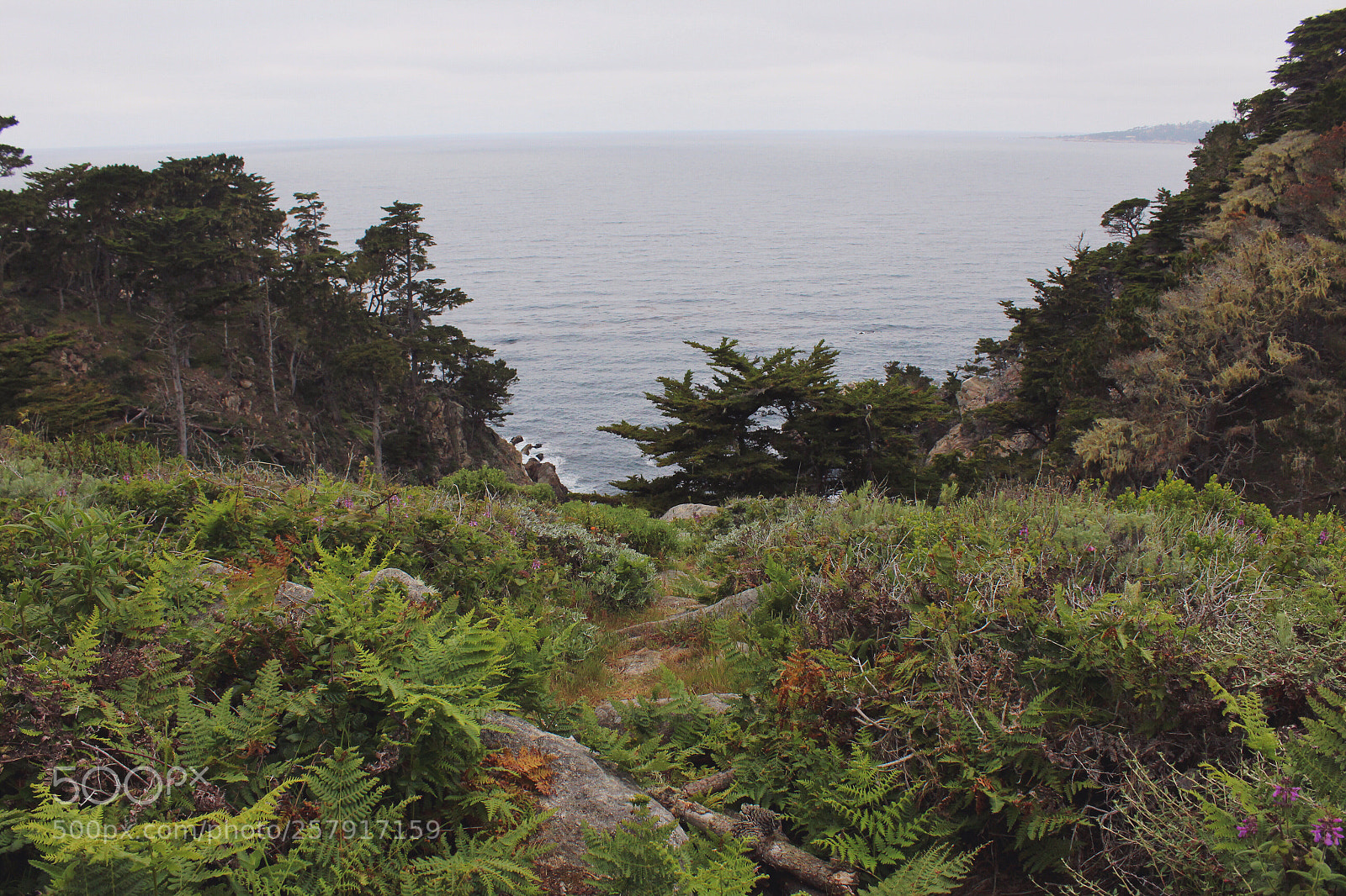 Canon EOS 1200D (EOS Rebel T5 / EOS Kiss X70 / EOS Hi) sample photo. California coast  photography