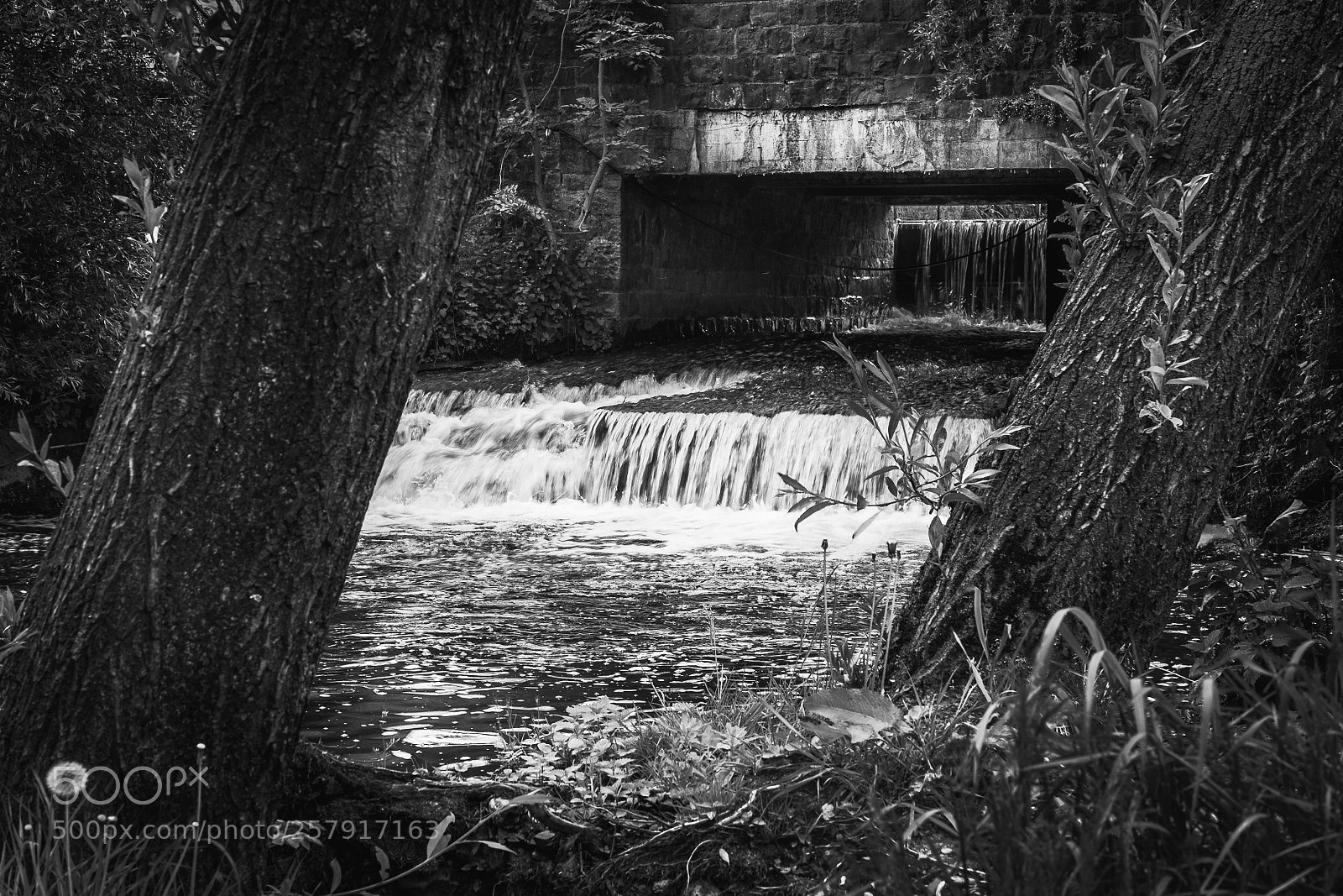 Sony a7 sample photo. See in black & white photography