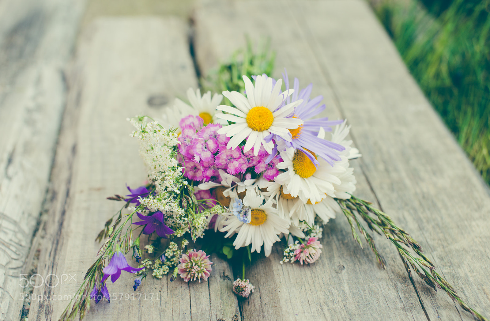 Nikon D800E sample photo. Summer bunch photography