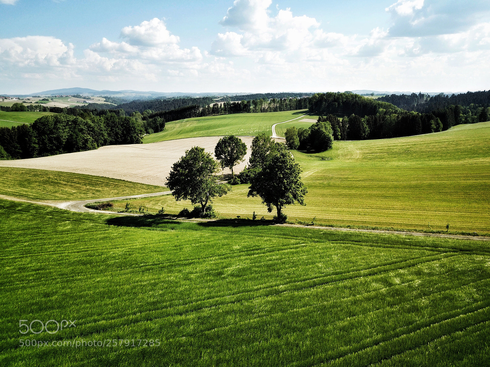DJI FC220 sample photo. Countryside #133 photography