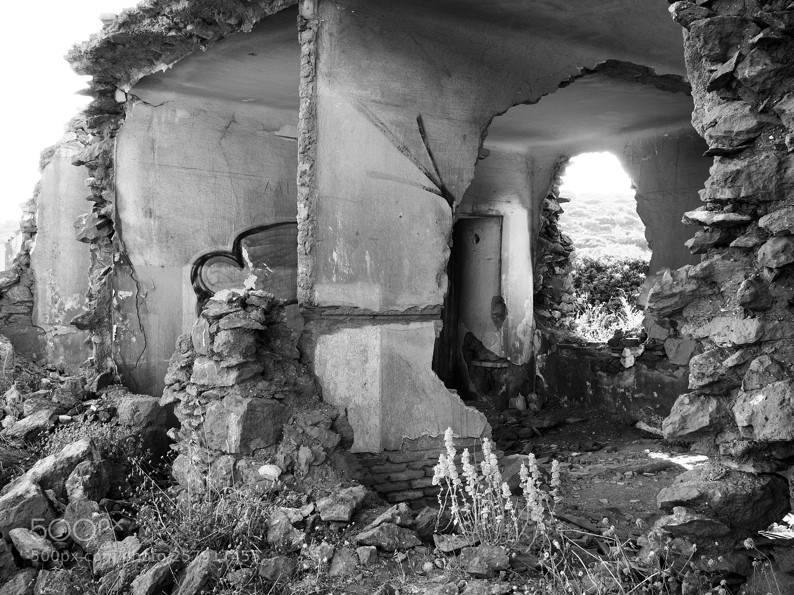 Olympus PEN-F sample photo. Attrition photography