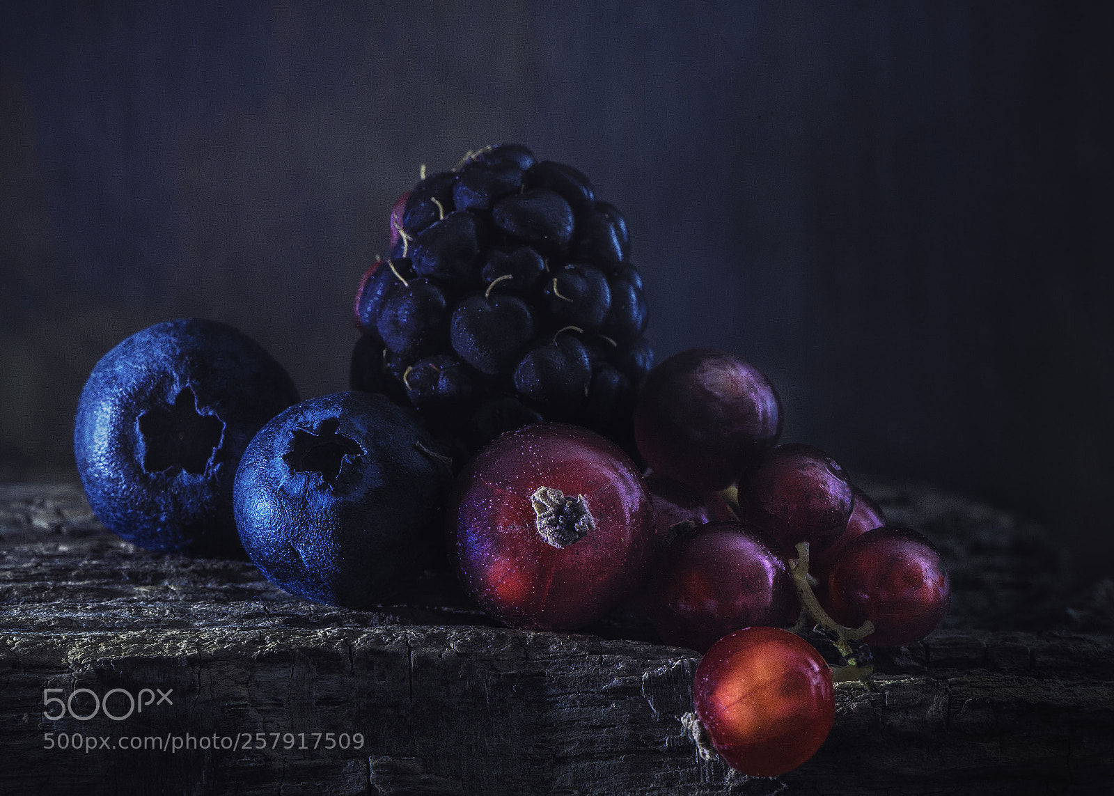 Nikon D600 sample photo. Berries photography
