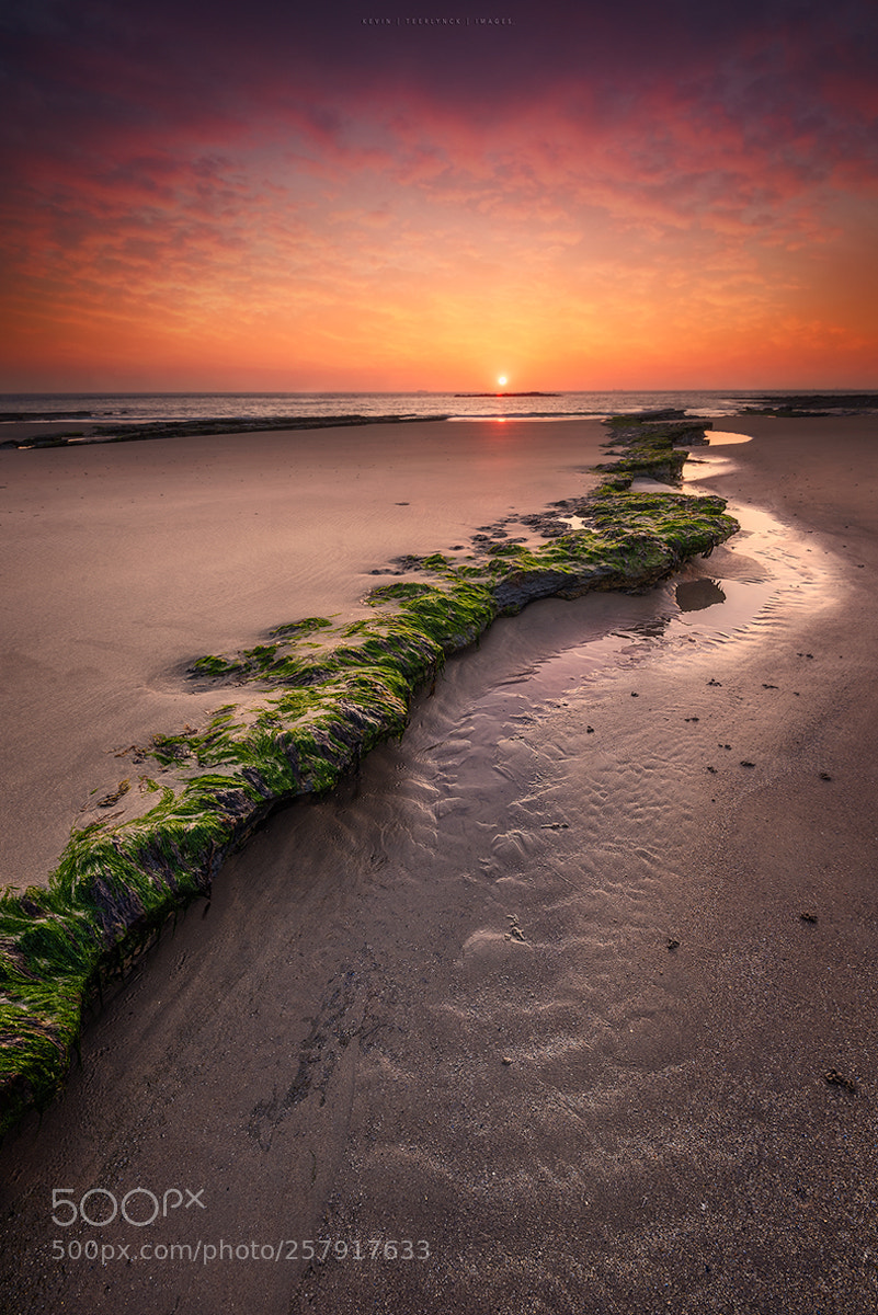 Nikon D750 sample photo. Dusk at audresselles beach photography