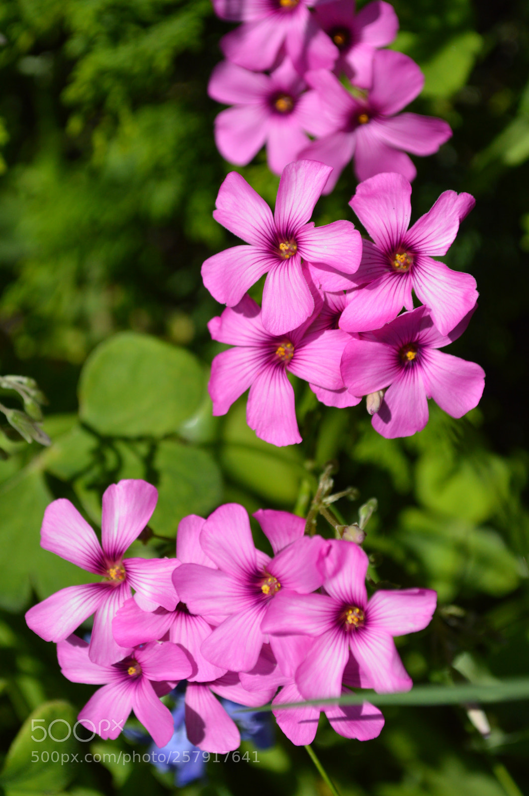 Nikon D3200 sample photo. Dsc photography