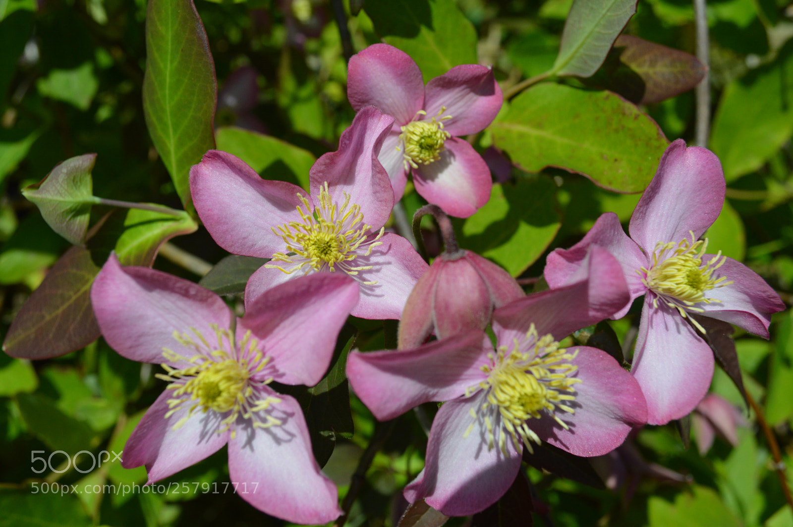 Nikon D3200 sample photo. Dsc photography
