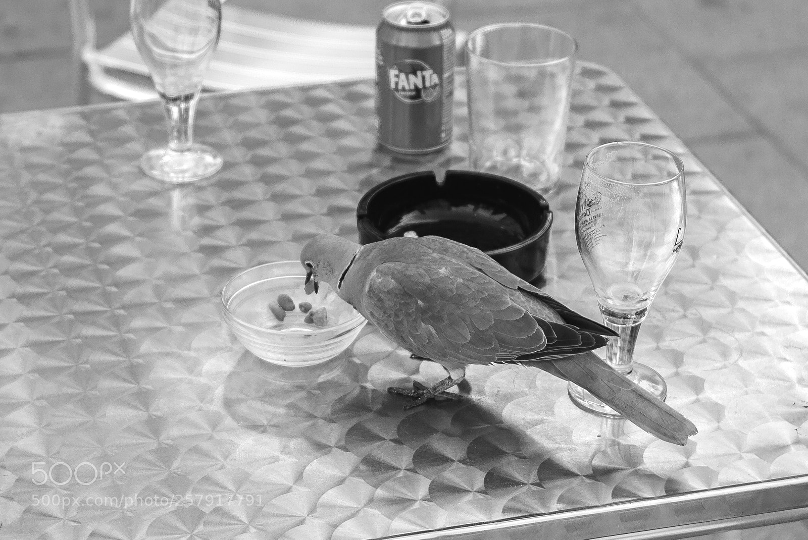 Leica M (Typ 240) sample photo. Hangry photography
