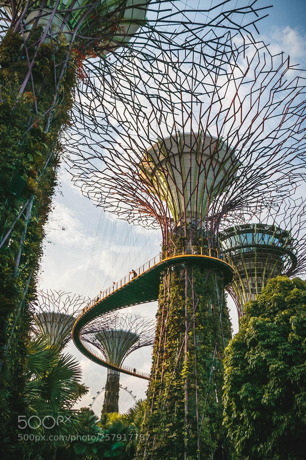 Canon EOS 80D sample photo. Gardens by the bay photography