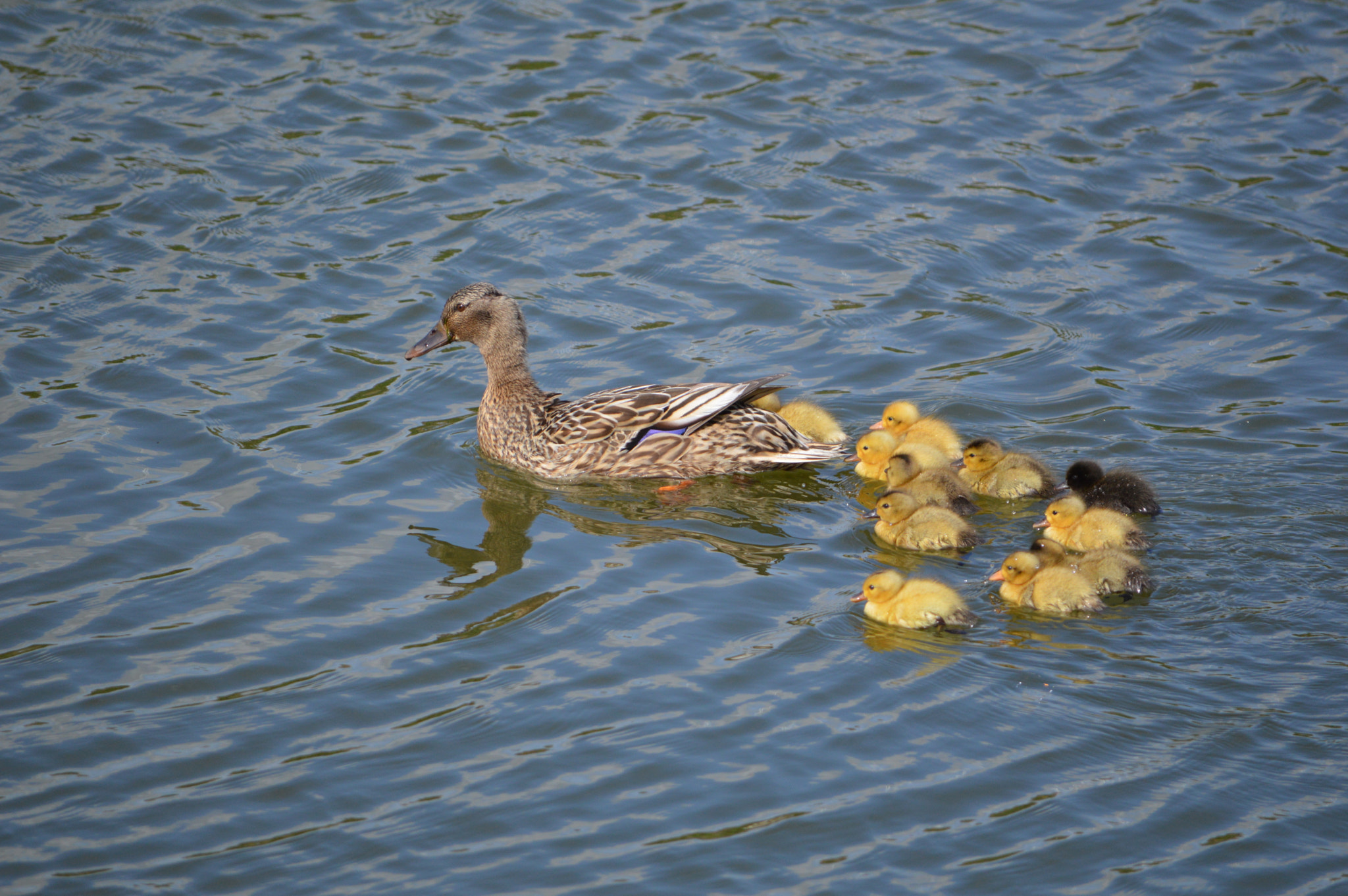 Nikon D3200 sample photo. Dsc photography