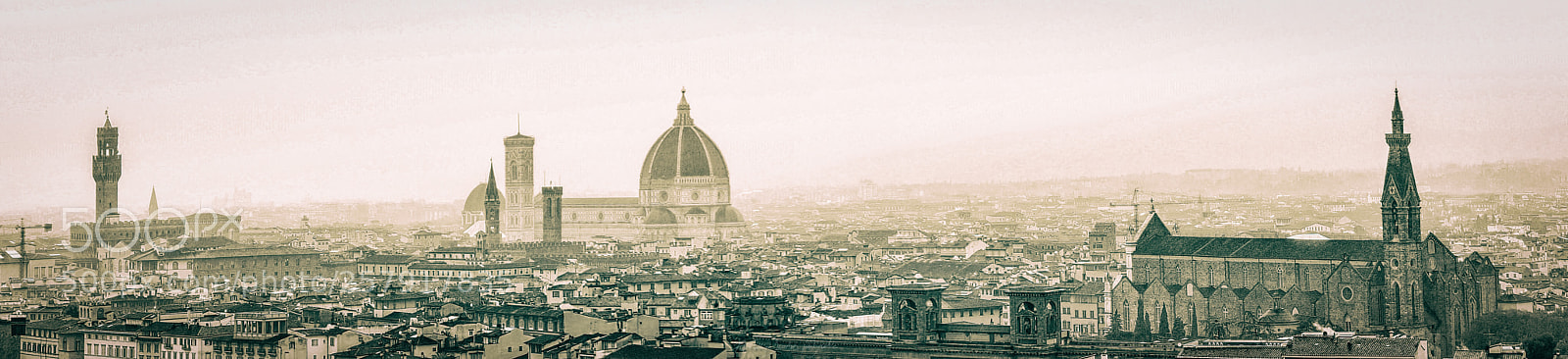 Sony SLT-A57 sample photo. Florence photography