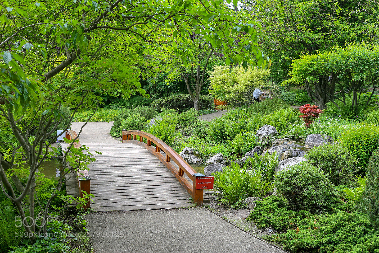 Canon EOS 6D sample photo. Setagaya park in vienna photography