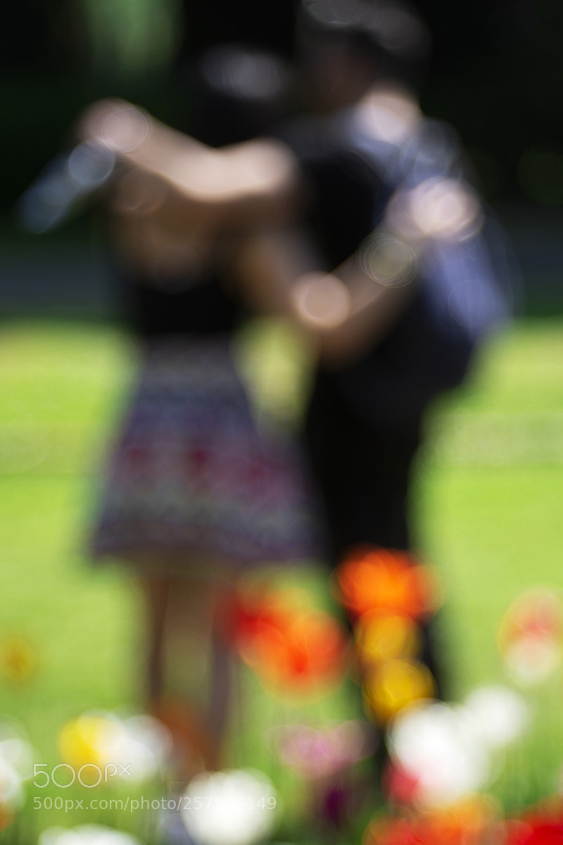 Nikon D7200 sample photo. Love a dream to photography