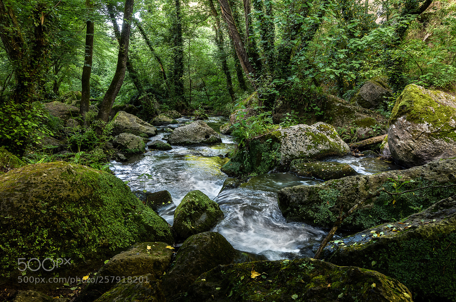 Nikon D810 sample photo. The noisy little stream photography