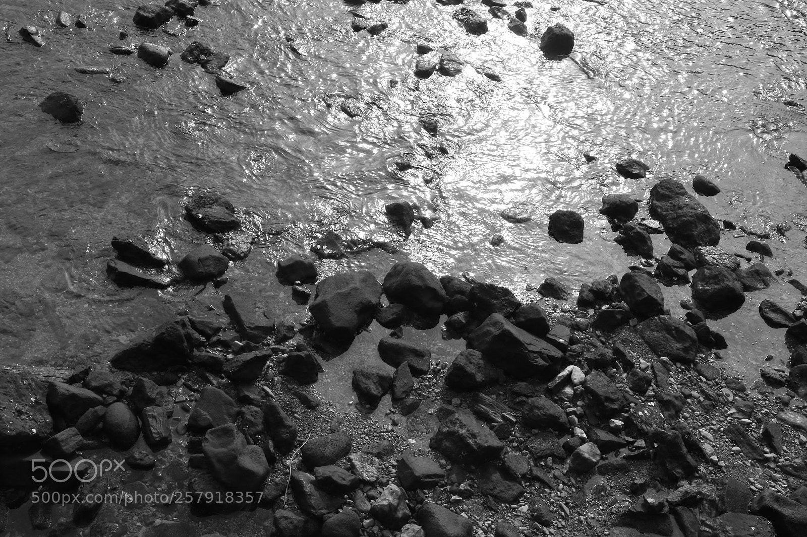 Canon EOS 70D sample photo. Riverbank photography