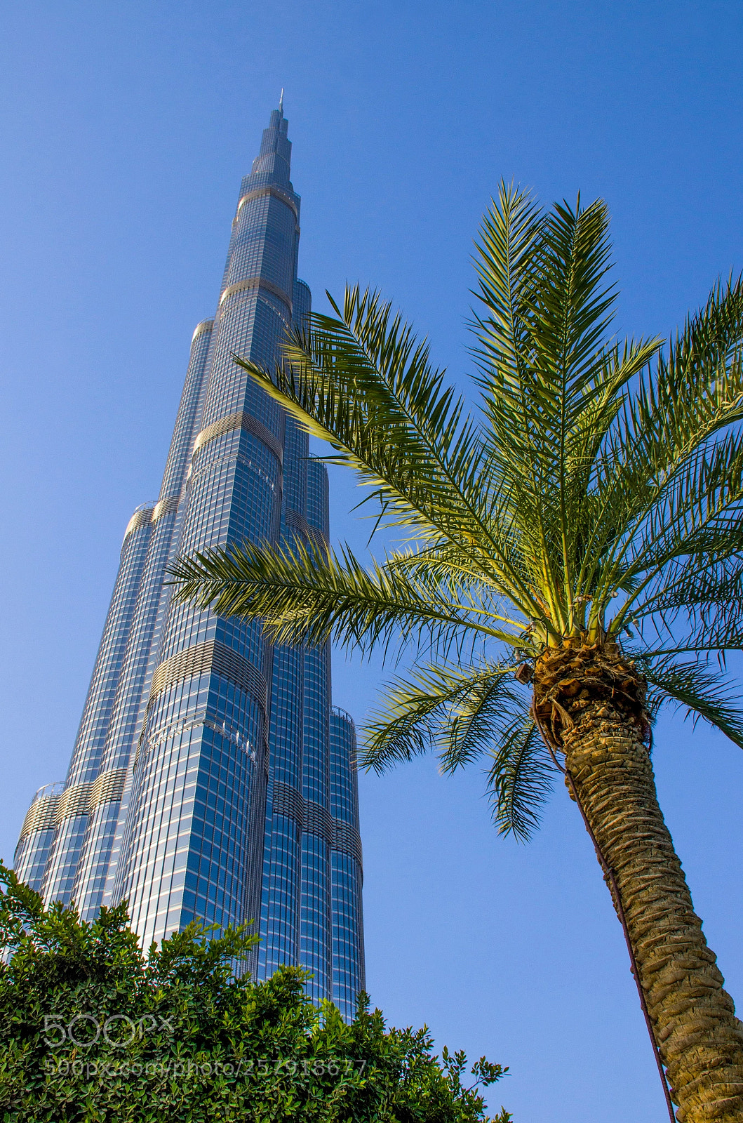 Nikon D7000 sample photo. Burj khalifa photography