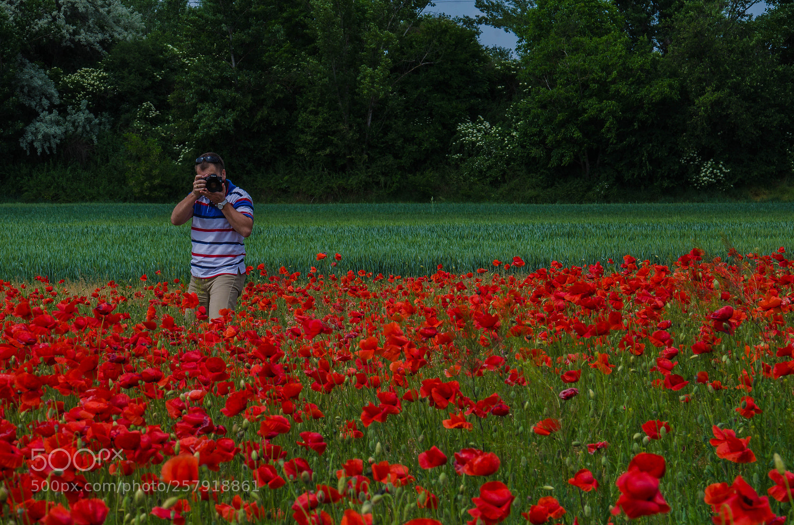 Nikon D7000 sample photo. My man photography