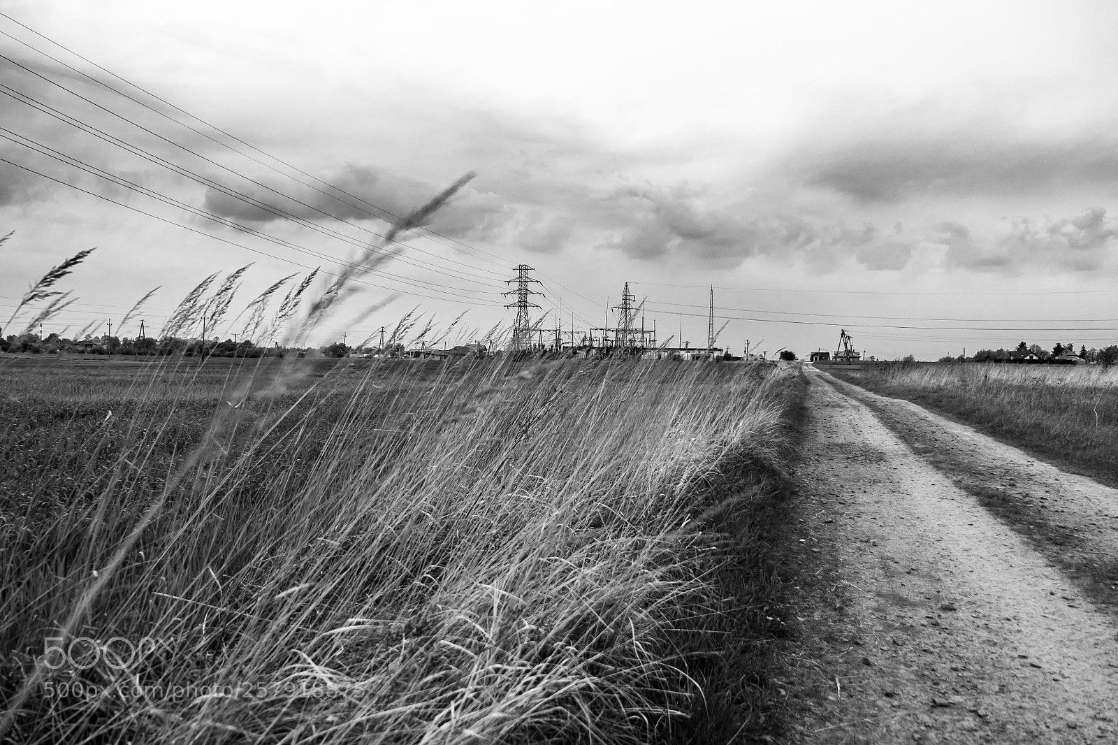 Panasonic Lumix DMC-GH4 sample photo. The road photography