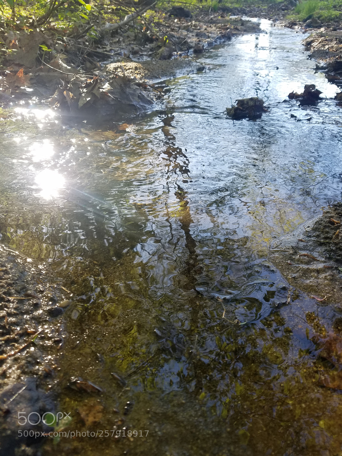 Samsung Galaxy S7 sample photo. Untitled photography