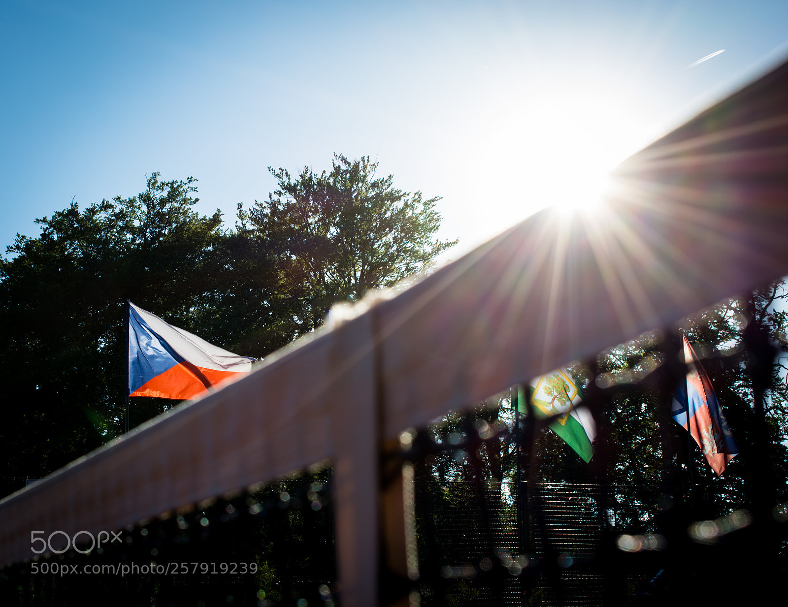 Nikon D5200 sample photo. Worthy sporty price photography
