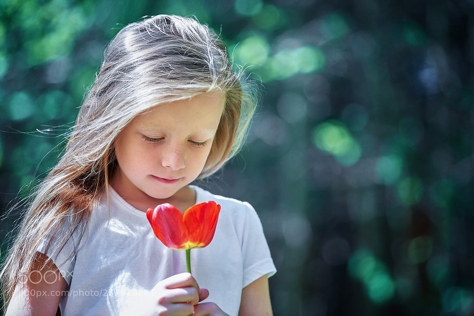 Nikon D810 sample photo. Цветы жизни photography