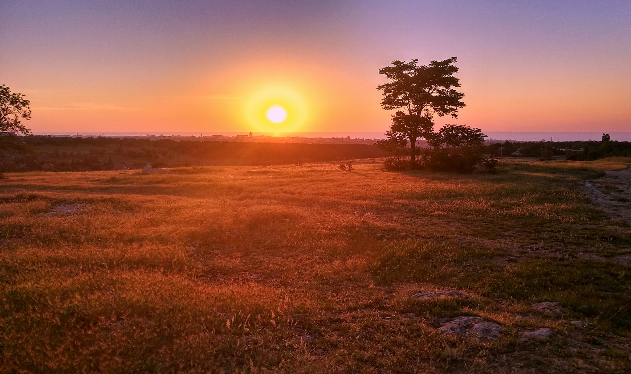 Xiaomi MI MAX 2 sample photo. Evening sunset photography
