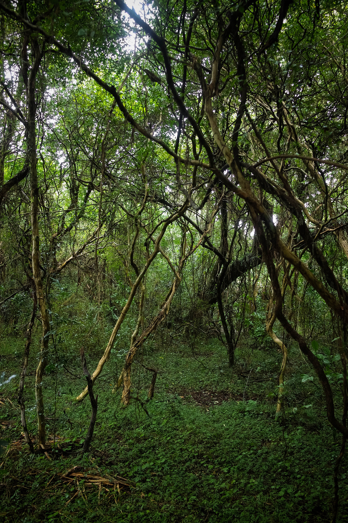 Samsung NX3000 sample photo