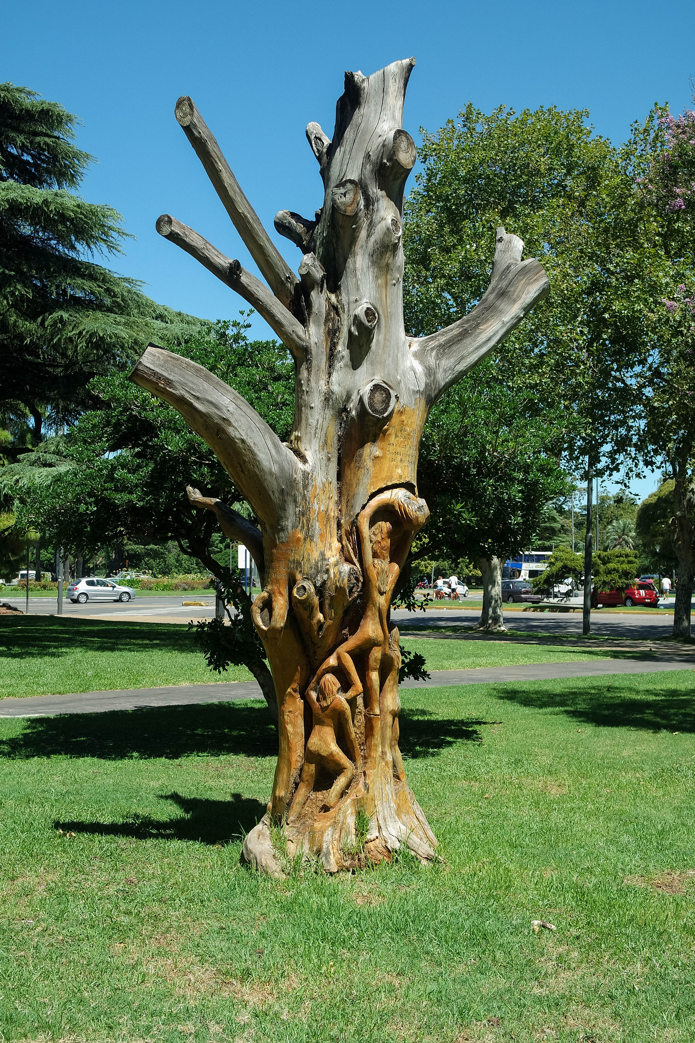 Samsung NX3000 sample photo