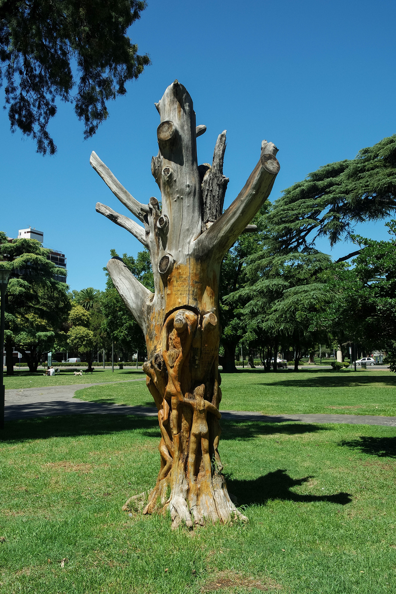 Samsung NX3000 sample photo