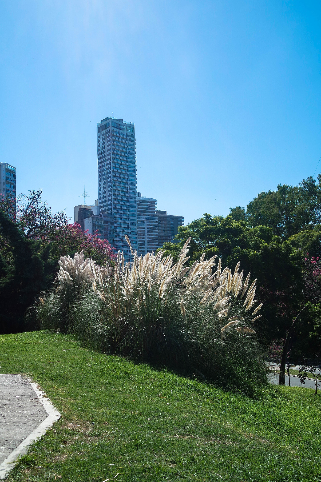 Samsung NX3000 sample photo