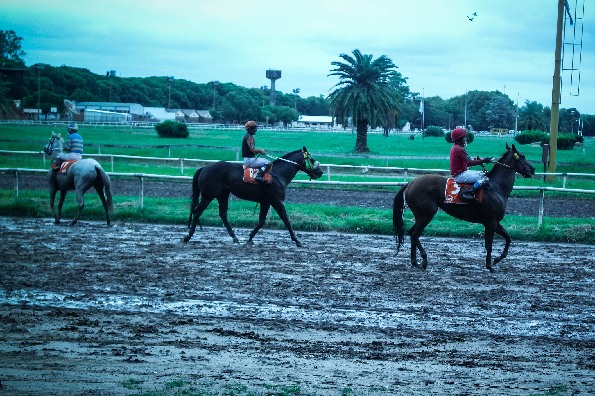 Samsung NX3000 sample photo