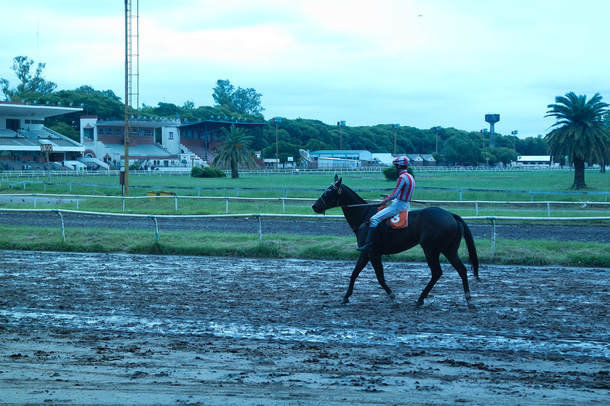 Samsung NX3000 sample photo