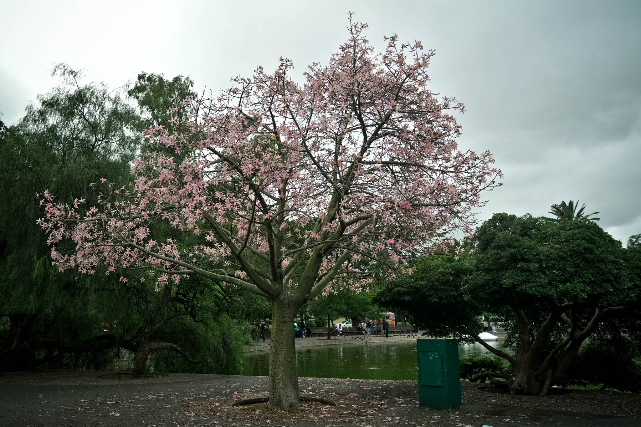 Samsung NX3000 sample photo