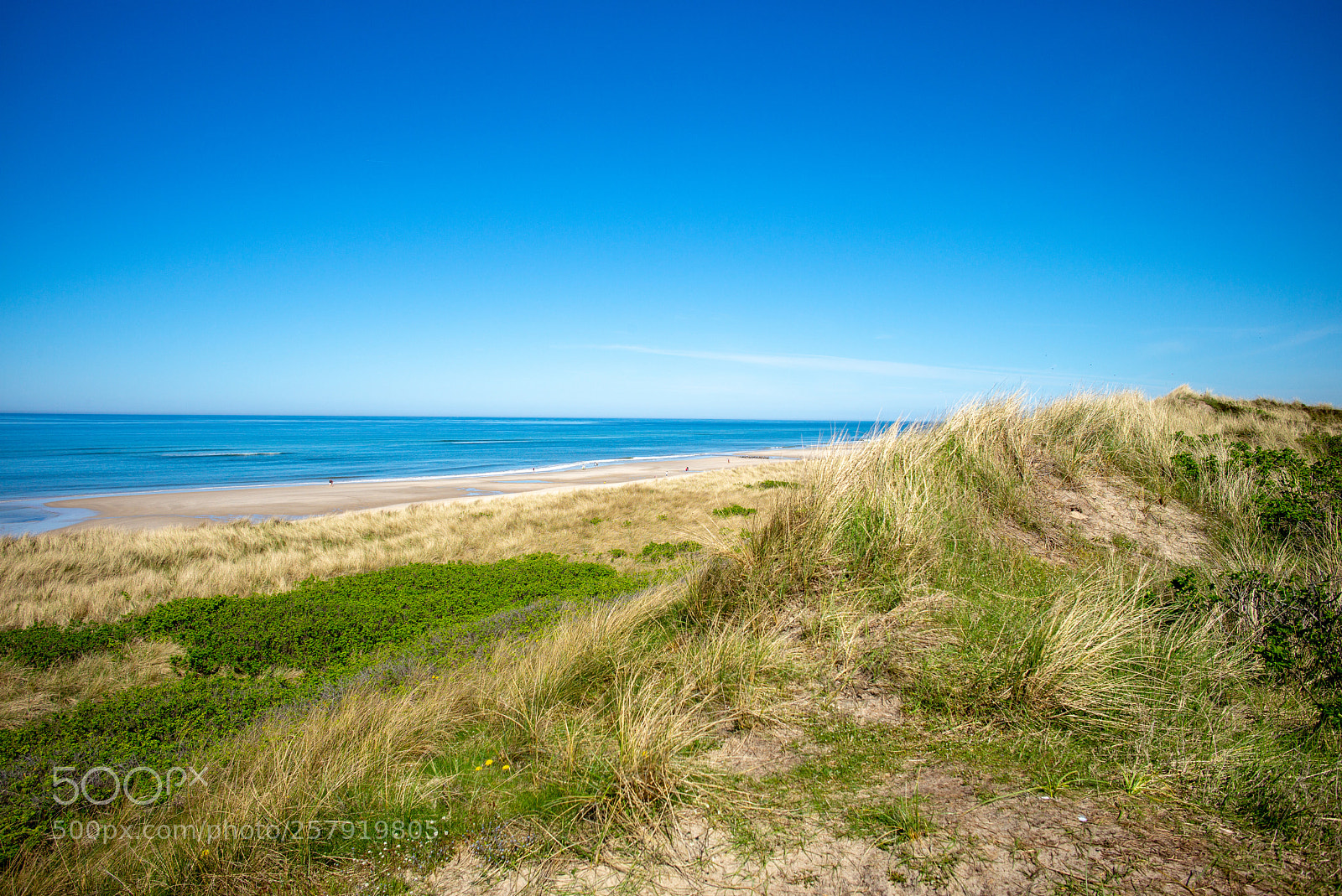 Leica M (Typ 240) sample photo. Dünen und meer photography