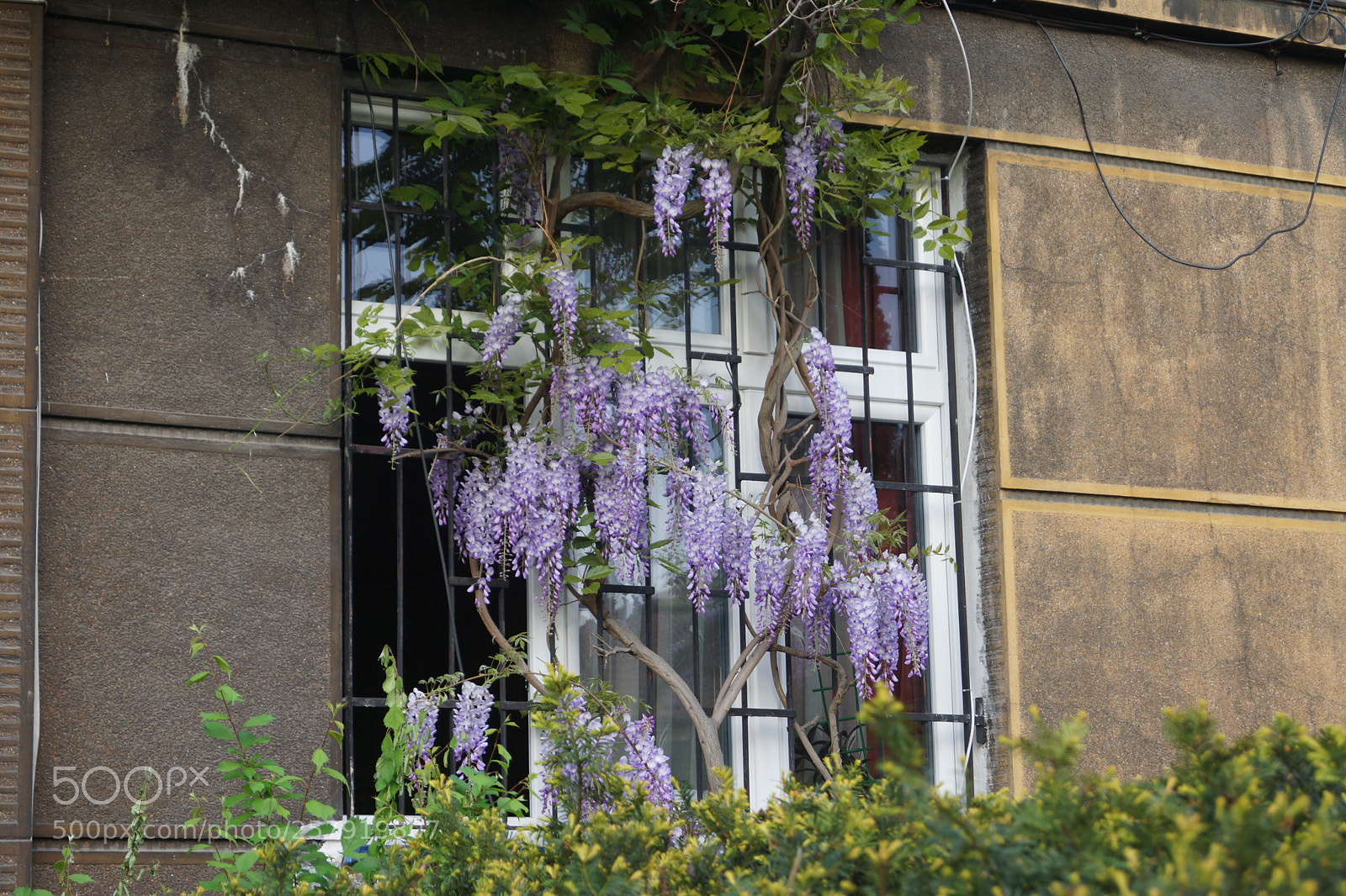 Sony SLT-A77 sample photo. Dsc photography