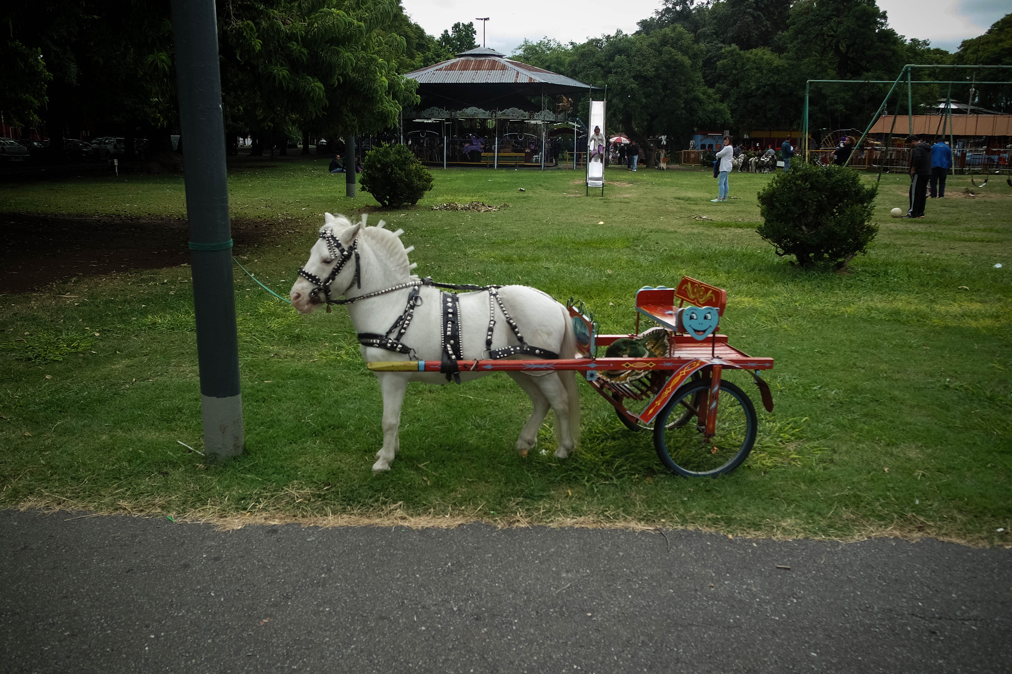 Samsung NX3000 sample photo