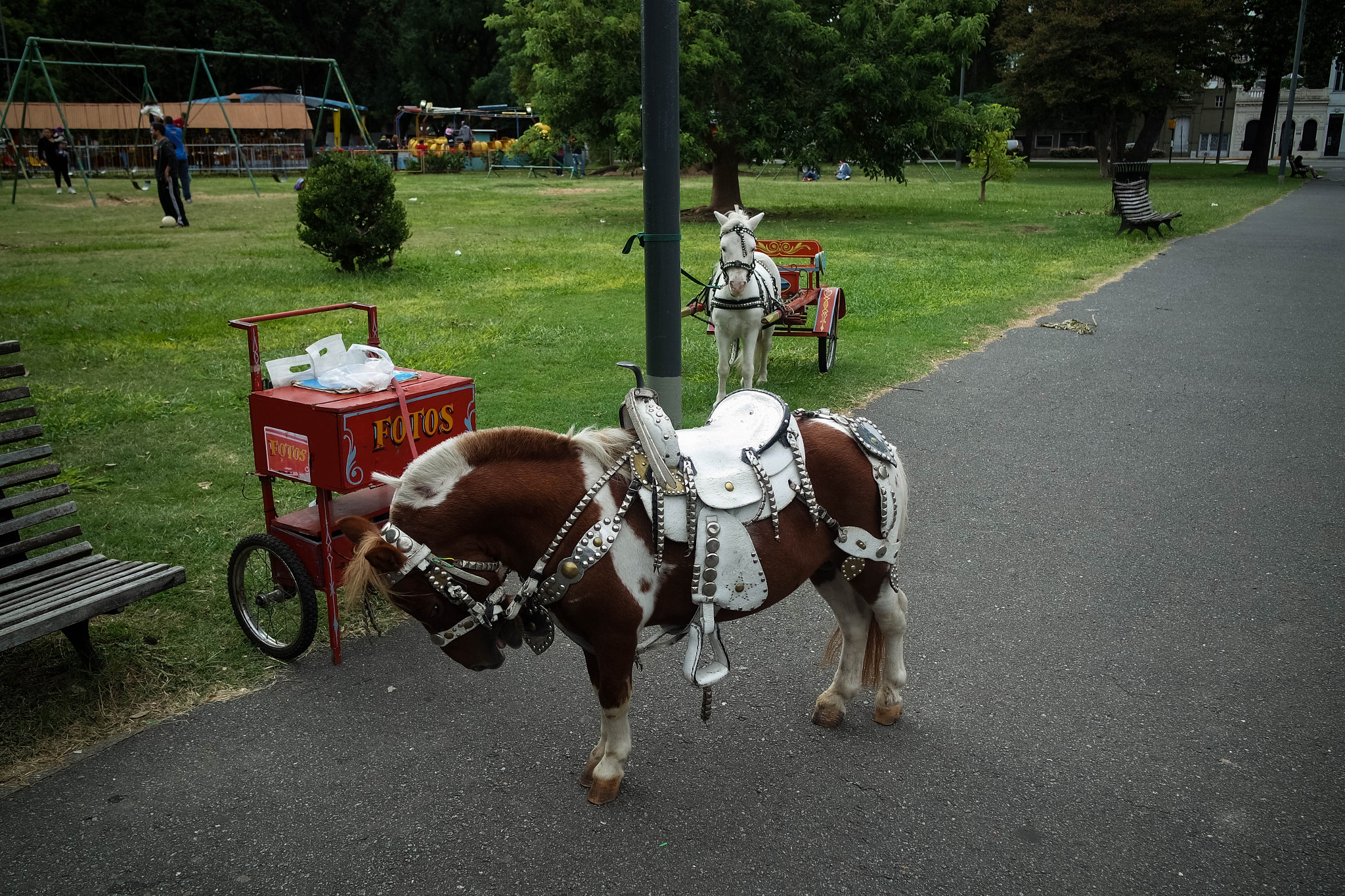 Samsung NX3000 sample photo