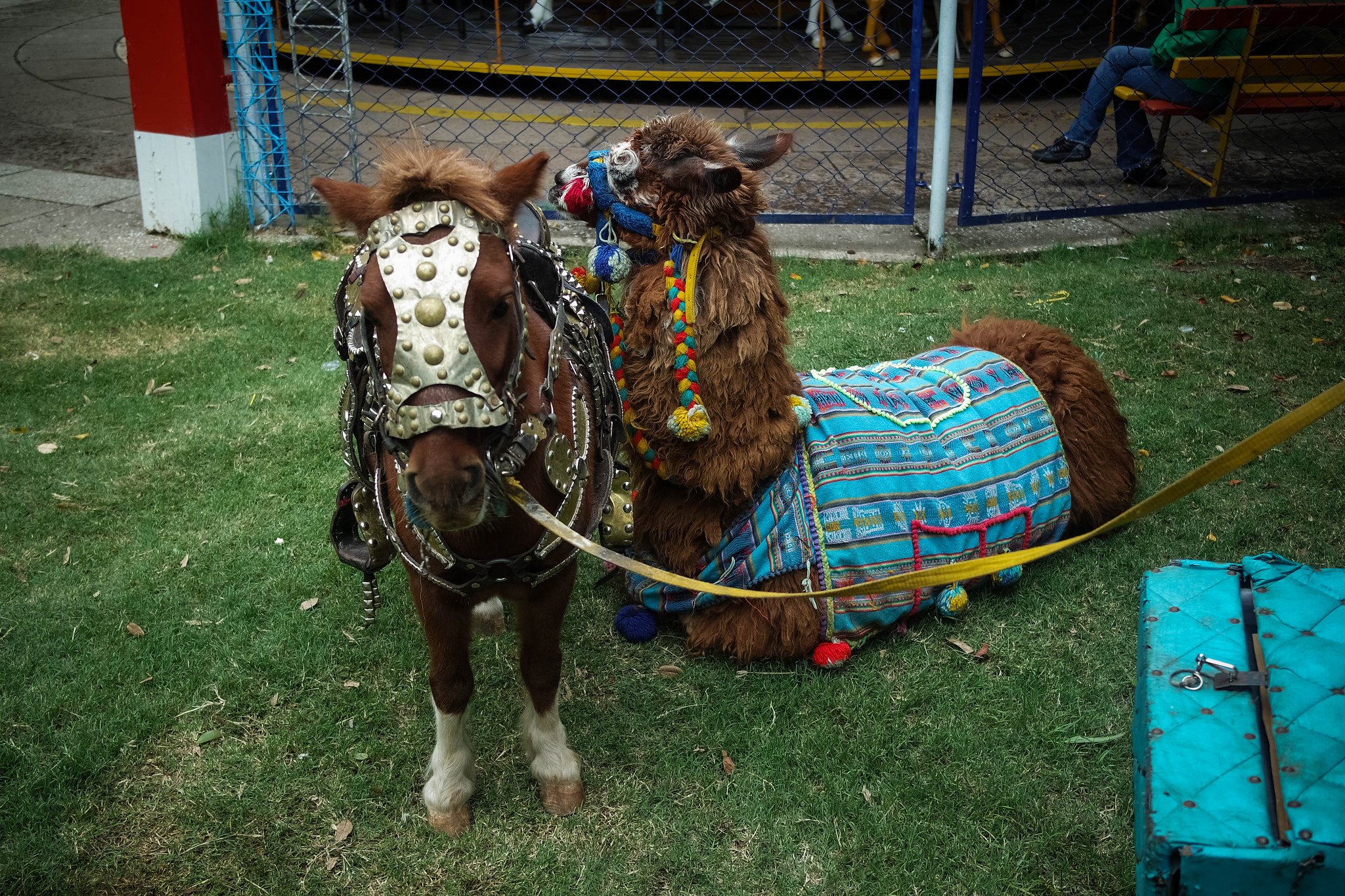 Samsung NX3000 sample photo