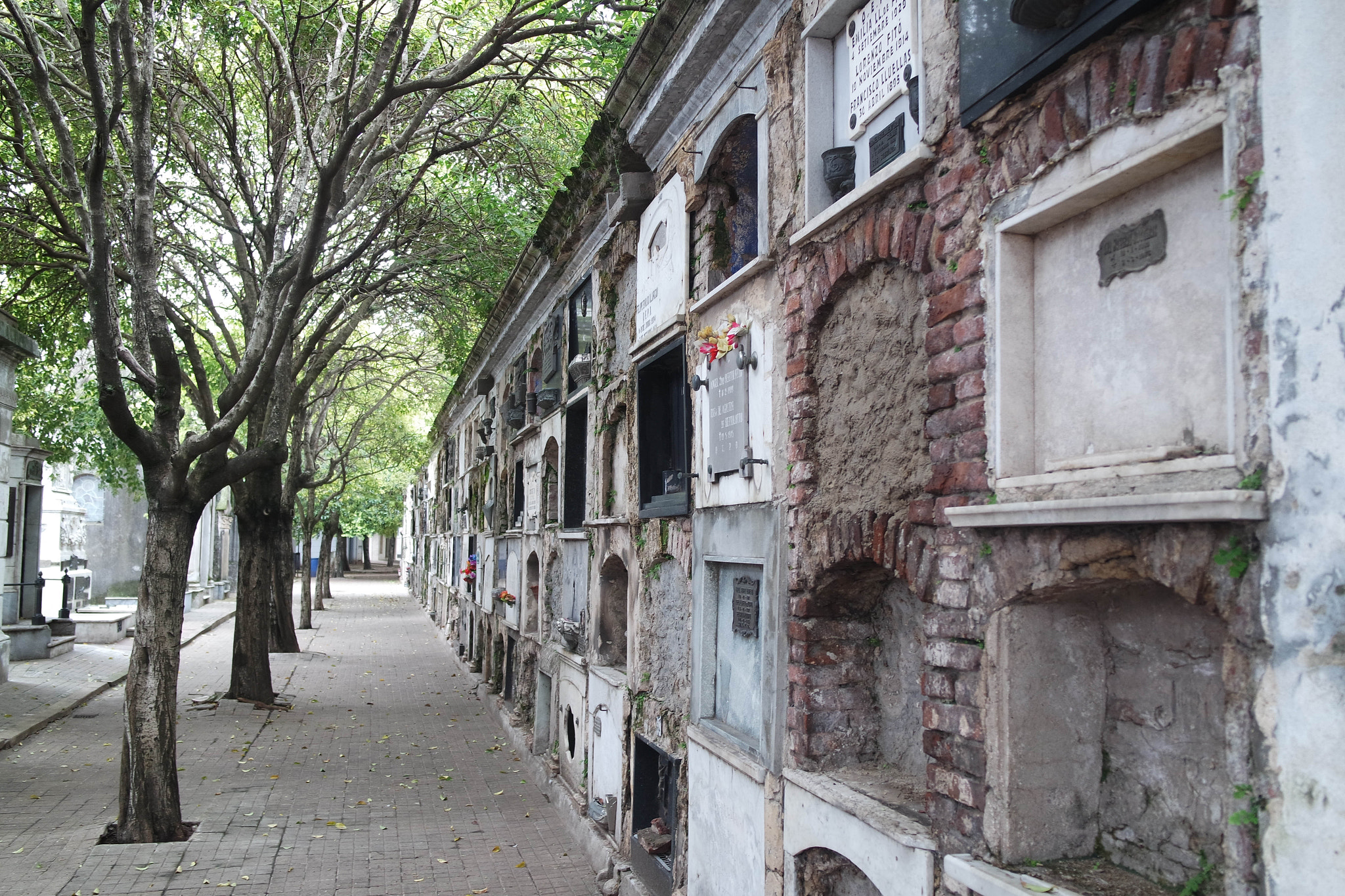 Samsung NX3000 sample photo