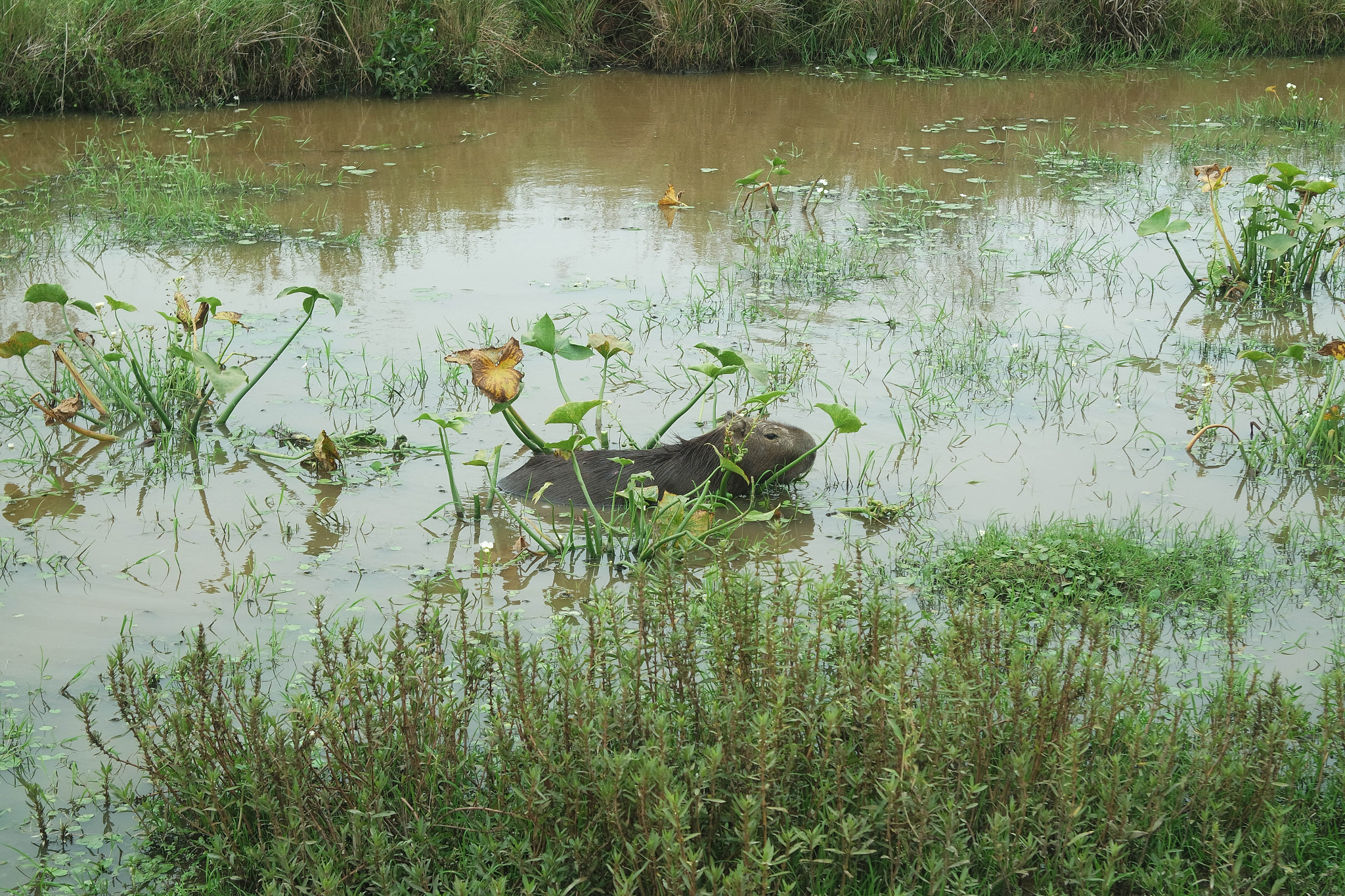 Samsung NX3000 sample photo
