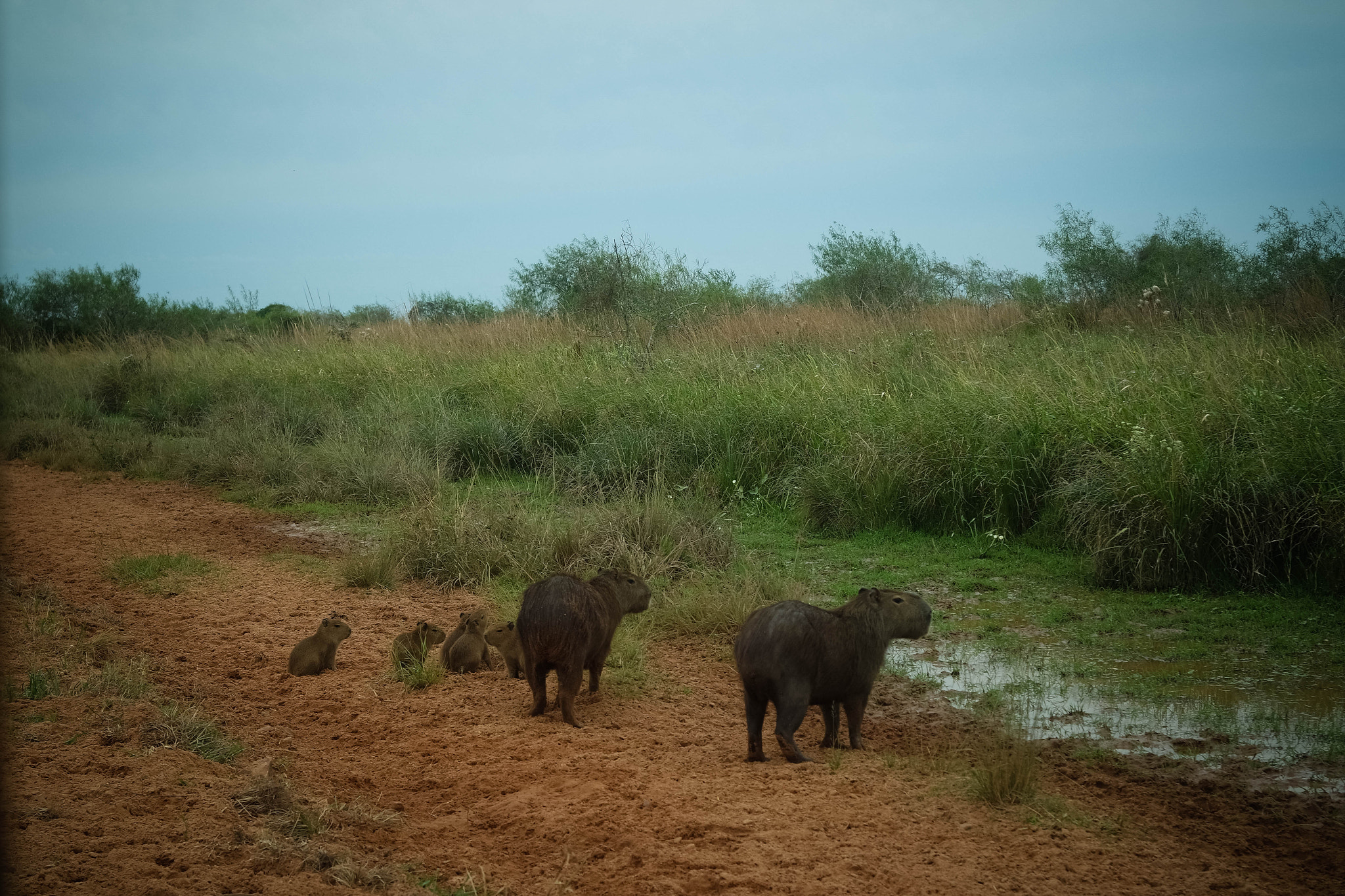 Samsung NX3000 sample photo