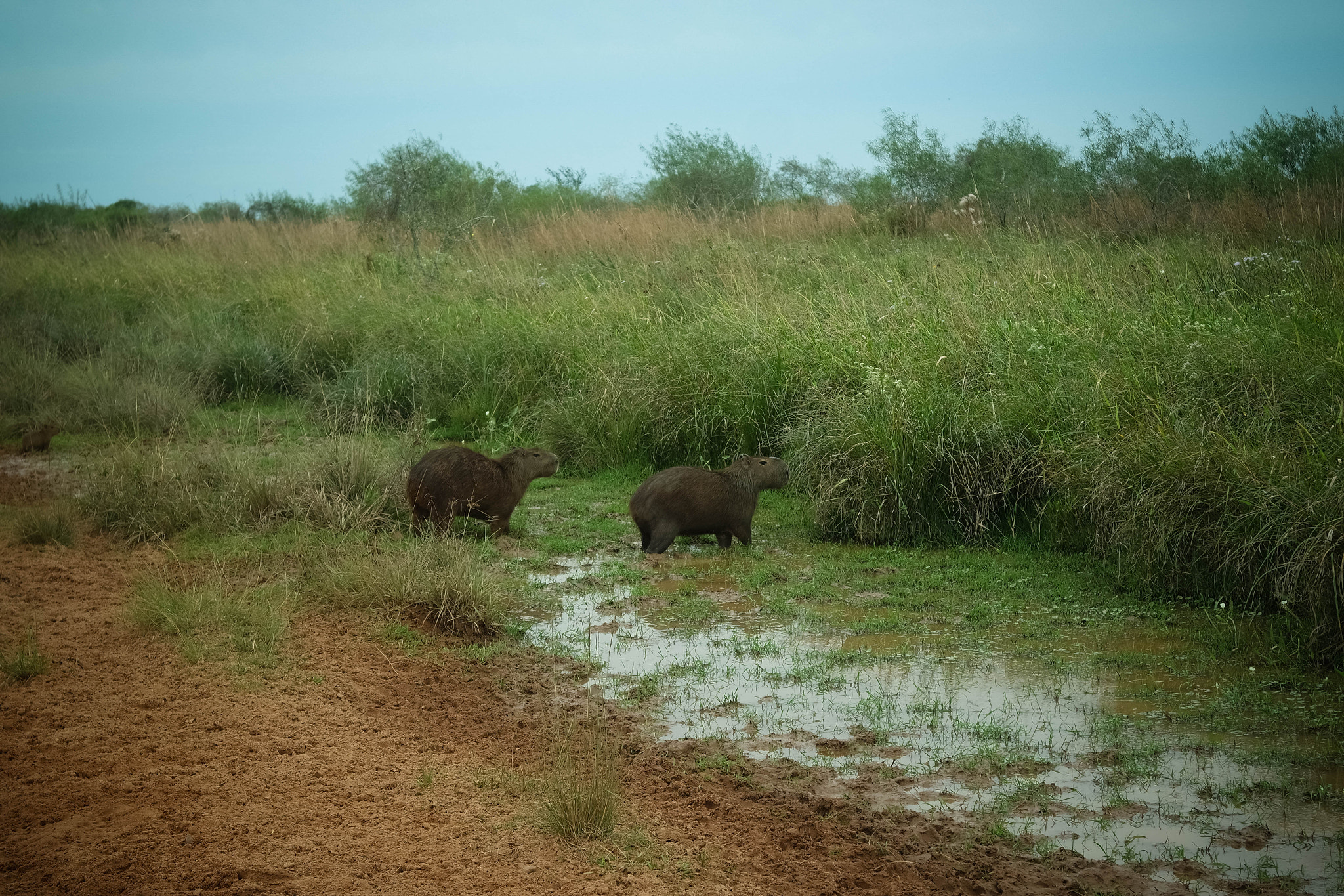 Samsung NX3000 sample photo