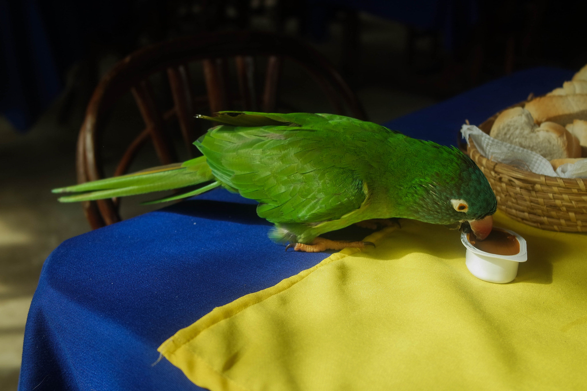 Samsung NX3000 sample photo