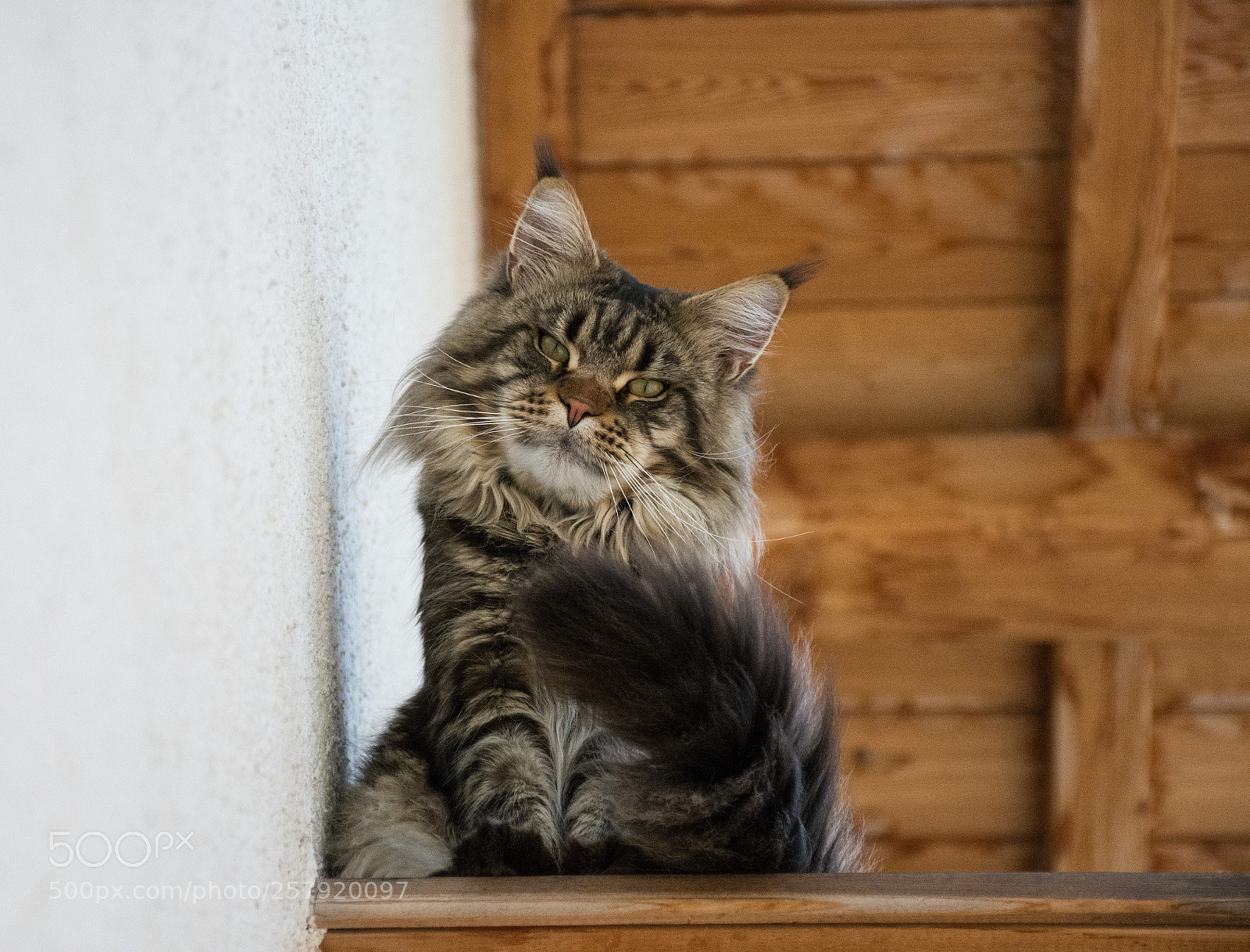 Nikon D7200 sample photo. Dsc photography